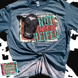 Not Today Heifer Bull Sublimation Transfer or Bleached Tee