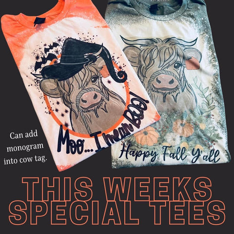 Its Fall Y’all Heifer Bleached Tee or Sublimation Transfers